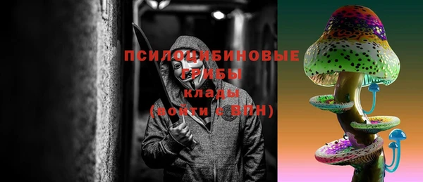 2c-b Балабаново