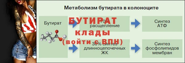 гидра Балахна