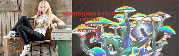 гидра Балахна