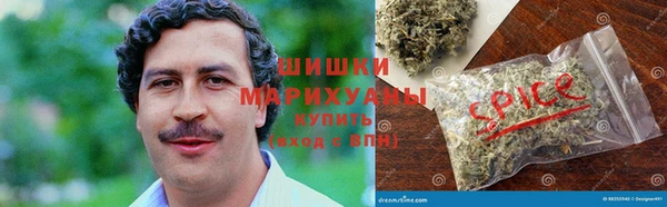 гидра Балахна